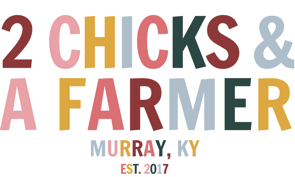 2 Chicks & A Farmer